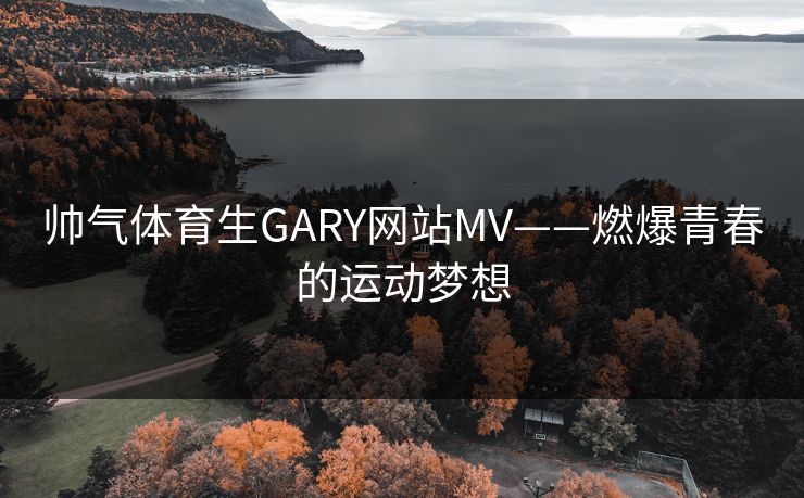 帅气体育生GARY网站MV——燃爆青春的运动梦想