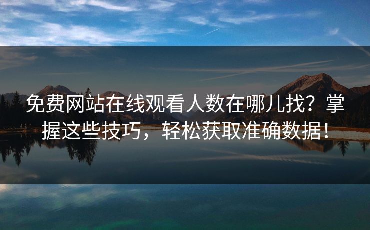 免费网站在线观看人数在哪儿找？掌握这些技巧，轻松获取准确数据！