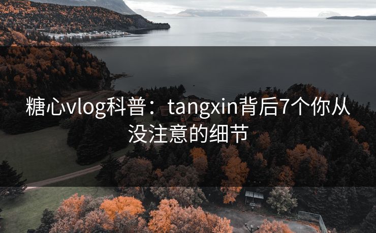 糖心vlog科普：tangxin背后7个你从没注意的细节